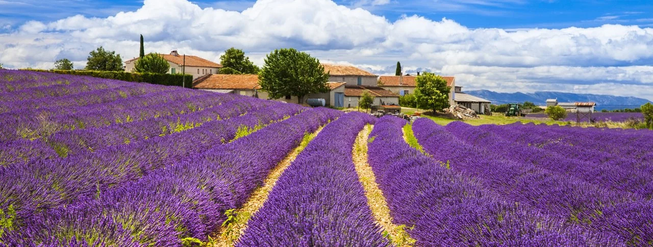 55cb643593b8a_camping-provence.jpg