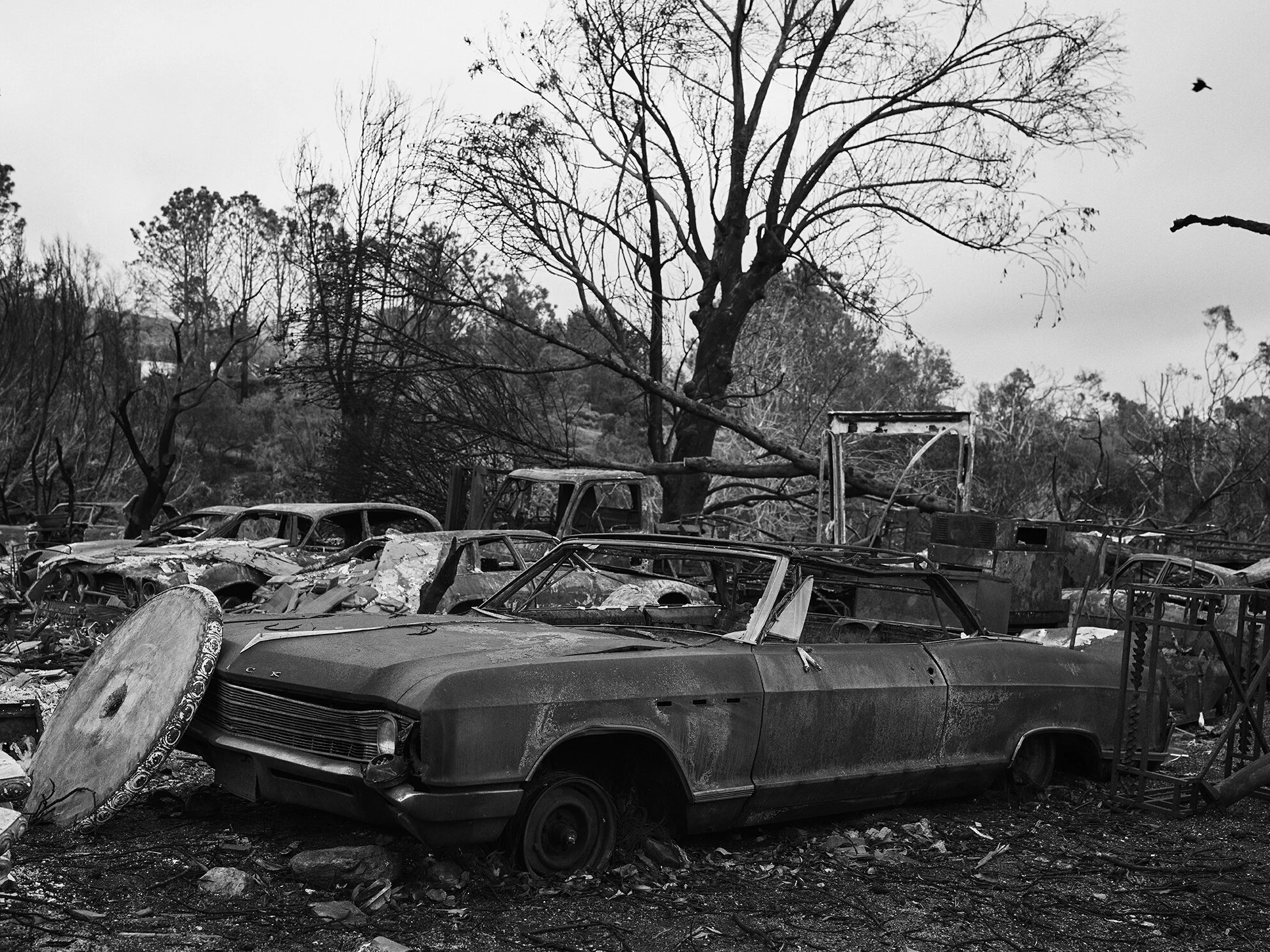 20190213_HUMAN SHIFT_0154.jpg