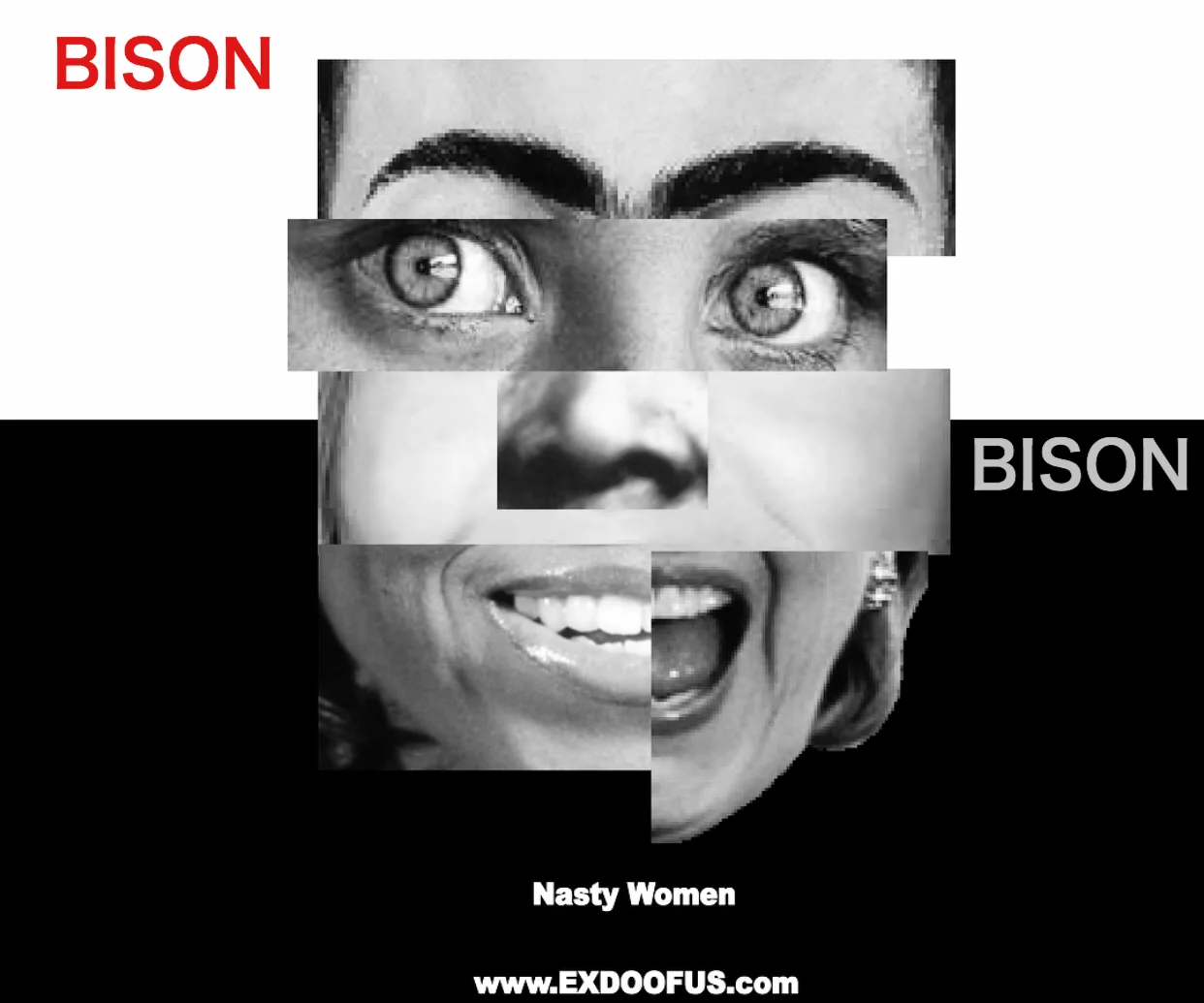 Nasty Women - 2017