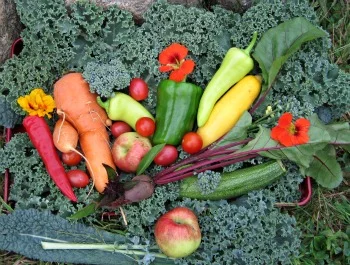  Healthy skin starts from within!