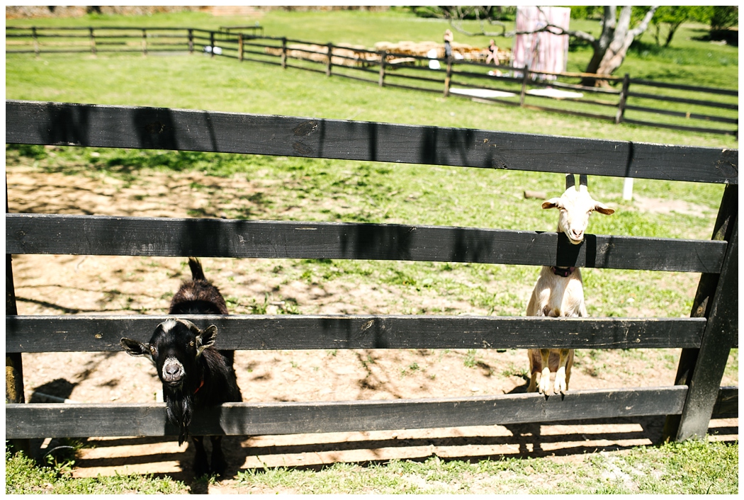 atlantageorgiastorytellingphotographer_0013.jpg