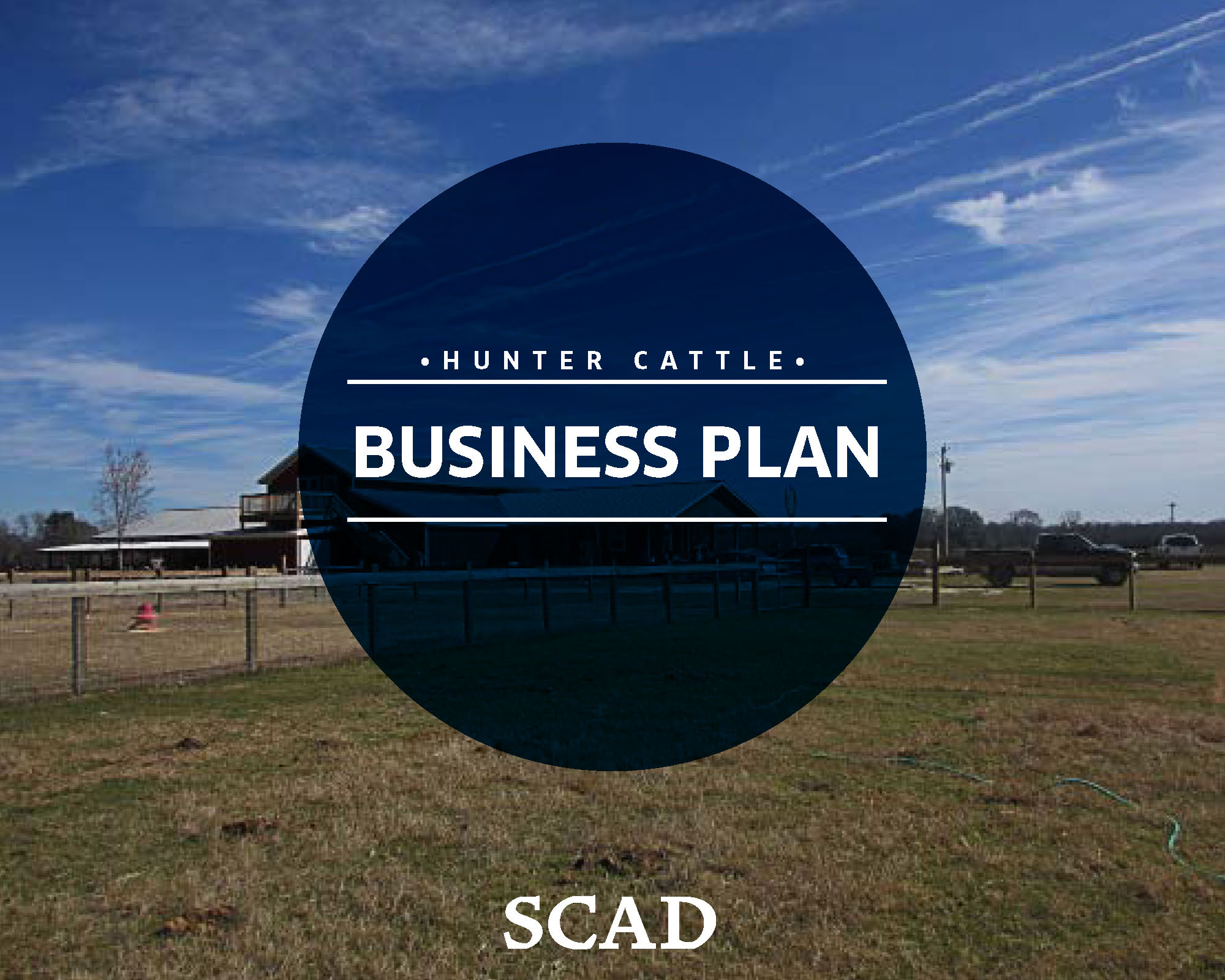 Business_Plan-1_Page_01.jpg