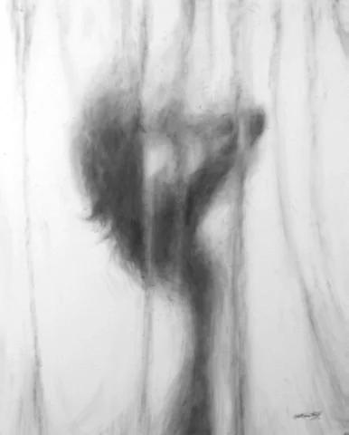 Veiled No.3.jpg