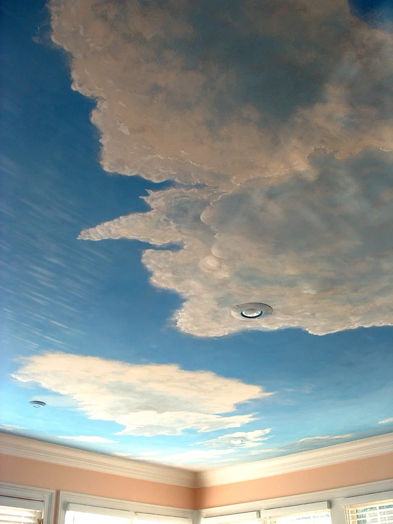 Cloud Ceiling