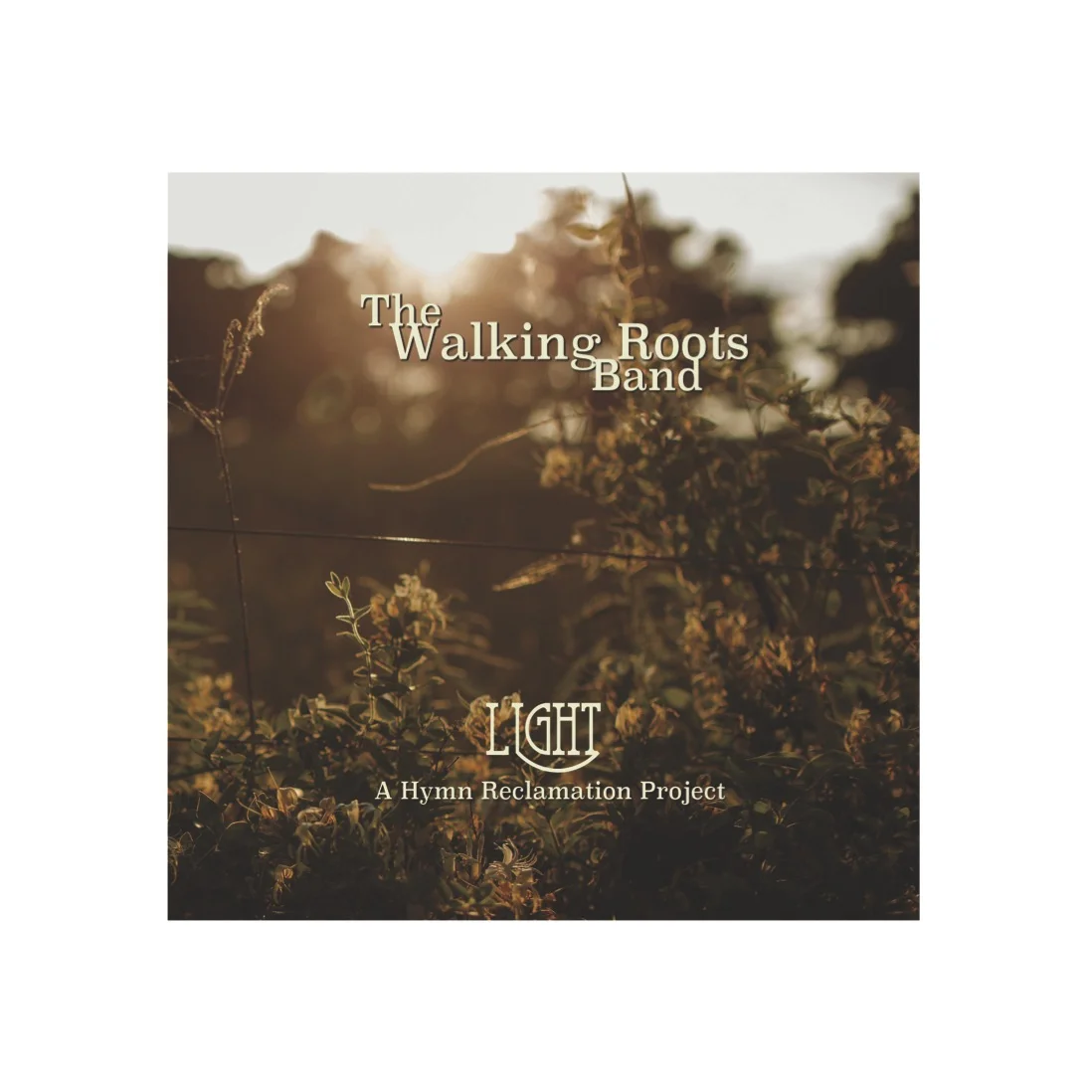 Light: A Hymn Reclamation Project (CD)