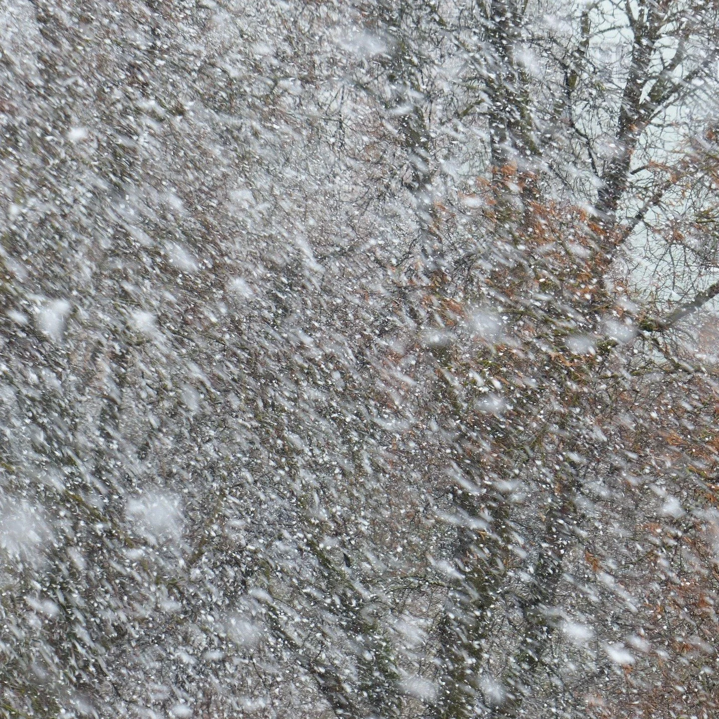 Dear St. John's Parishioners,

Due to the heavy snowfall forecasted for this Sunday morning, January 25th, we have made the decision to move in-person Sunday service onto Zoom only. This means that there will not be in-person Sunday services in our c