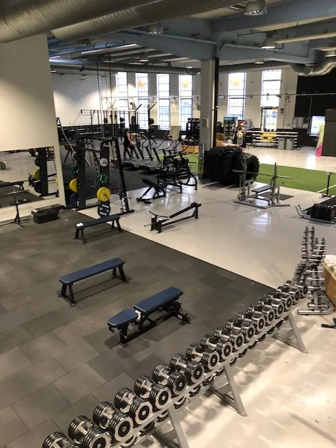 En välutrustad hantel- och friviktshörna Här hittar du lätta hantlar från Life Fitness 1-10kg med släta handtag. Tunga hantlar från Eleiko 12-50kg med roterande och lättrade handtag. 2 kg intervaller mellan olika vikter. Ställbara och fasta bänkar från Hammer Strength. 1st Preacher curl 1st tävlingsbänk Eleiko 1st Smith Life Fitness 1st rodd 1st squat rack 1st Glute Ham Raise
