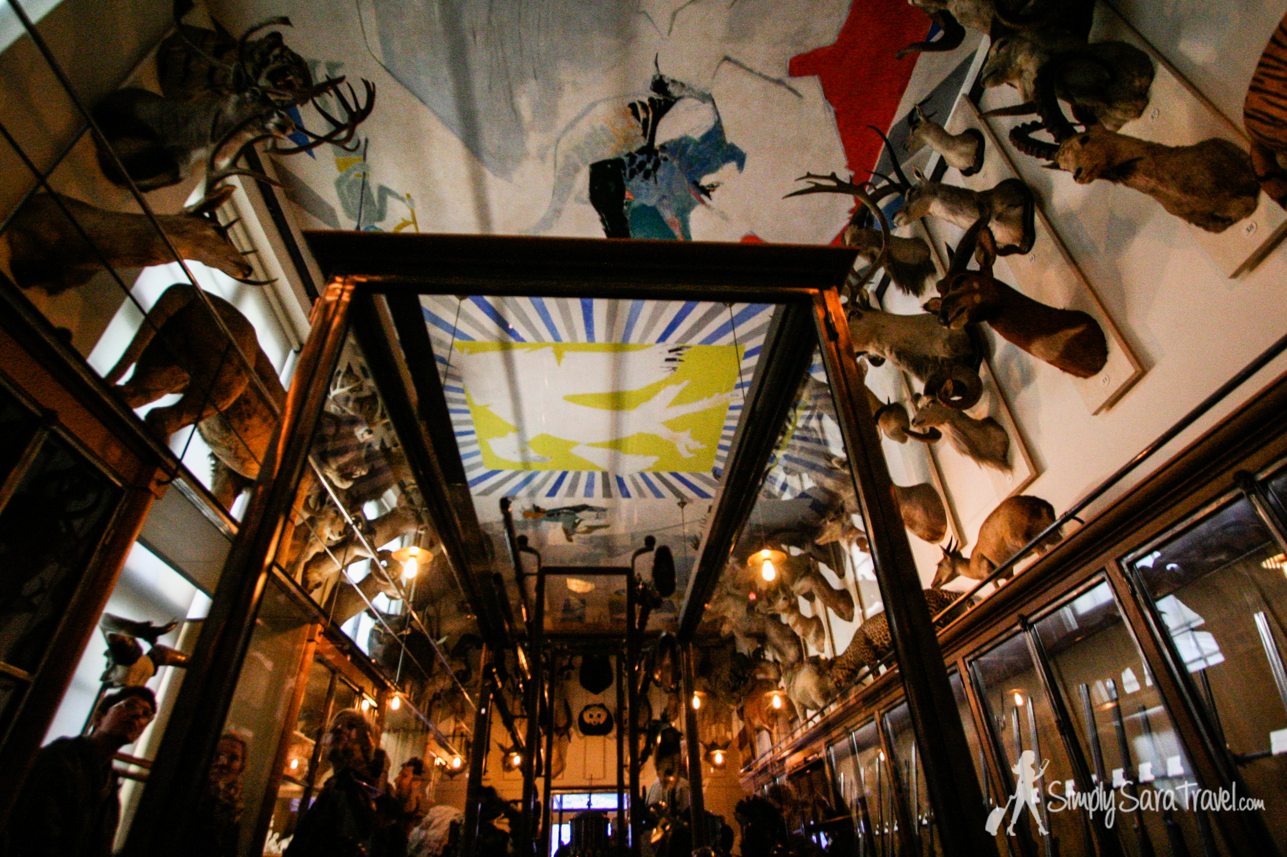 Inside the Room of Trophies 