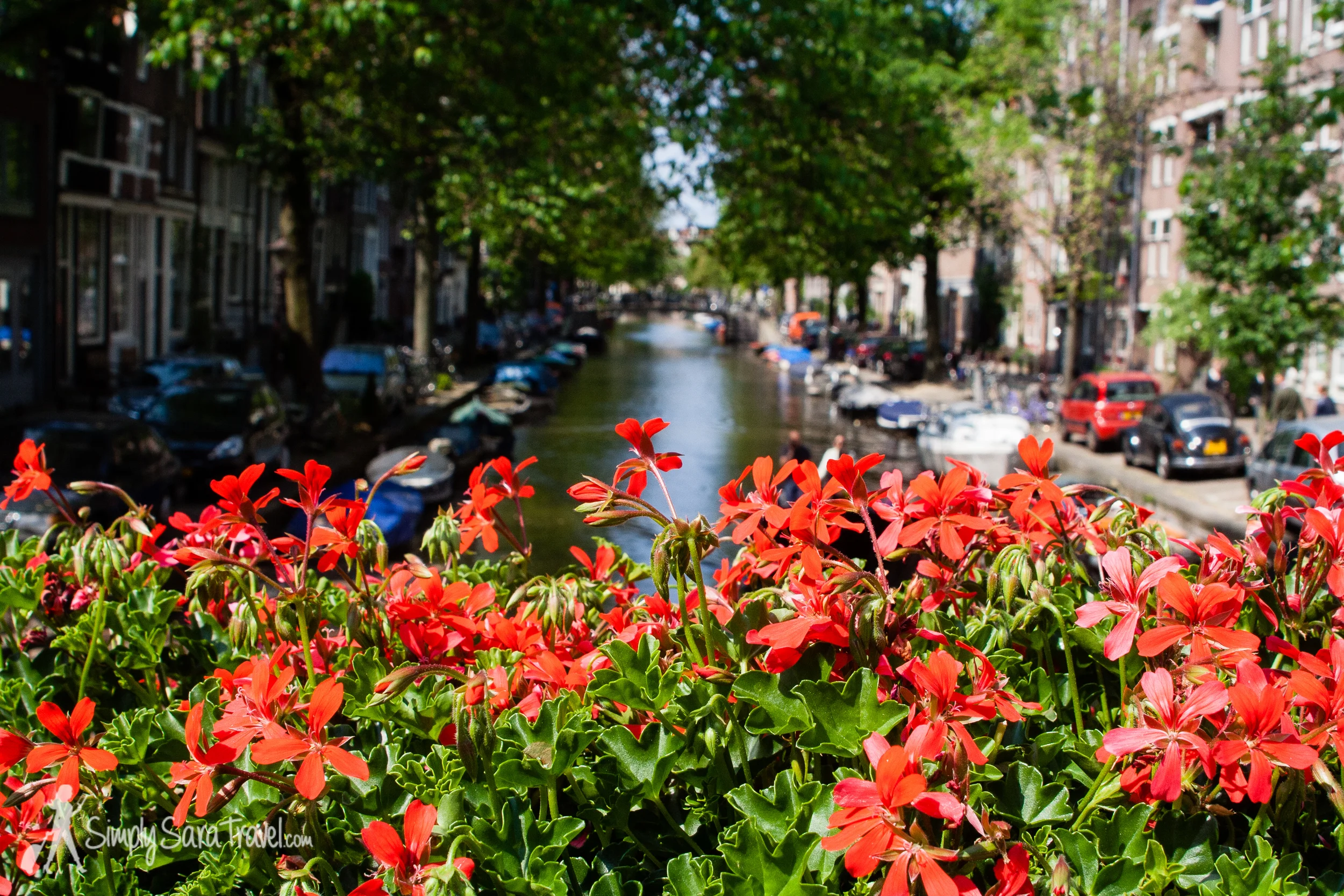 The canals of Amsterdam (June 2013)