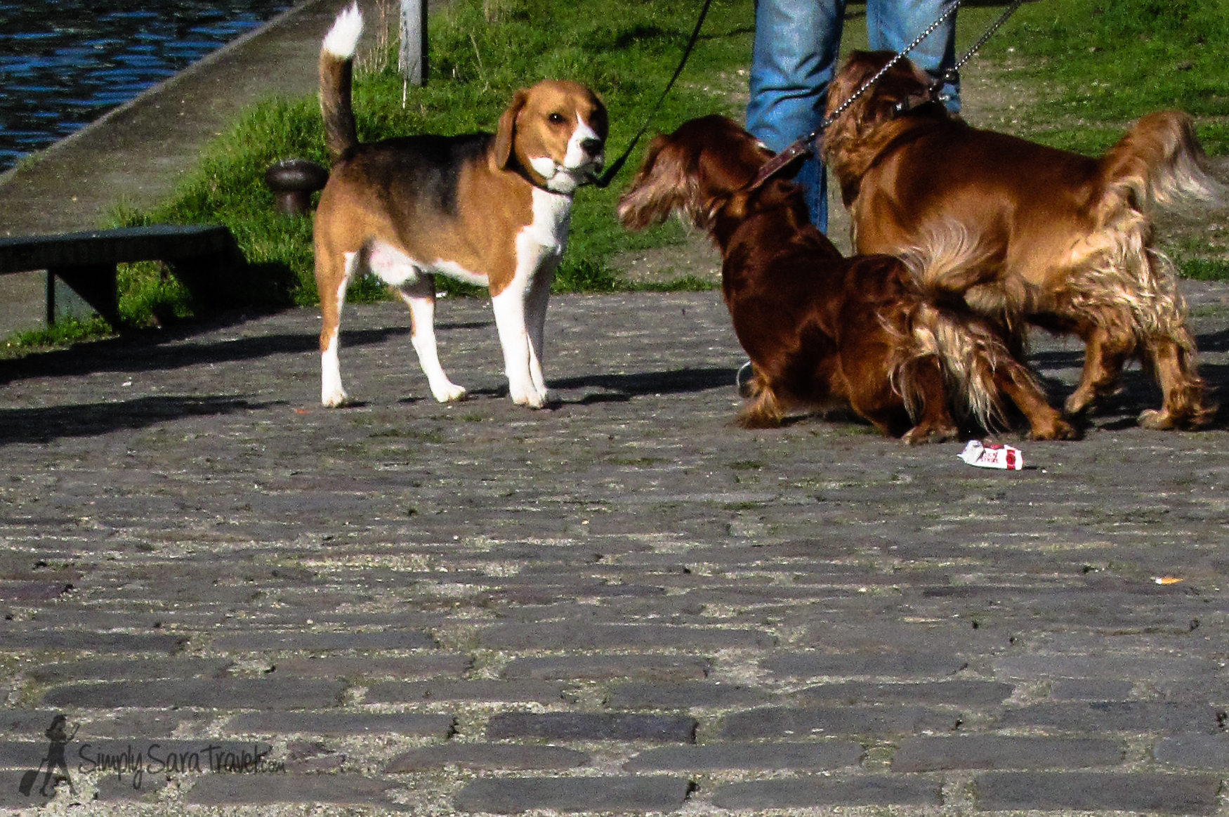Come with your friends to the canal...or make new friends while there.