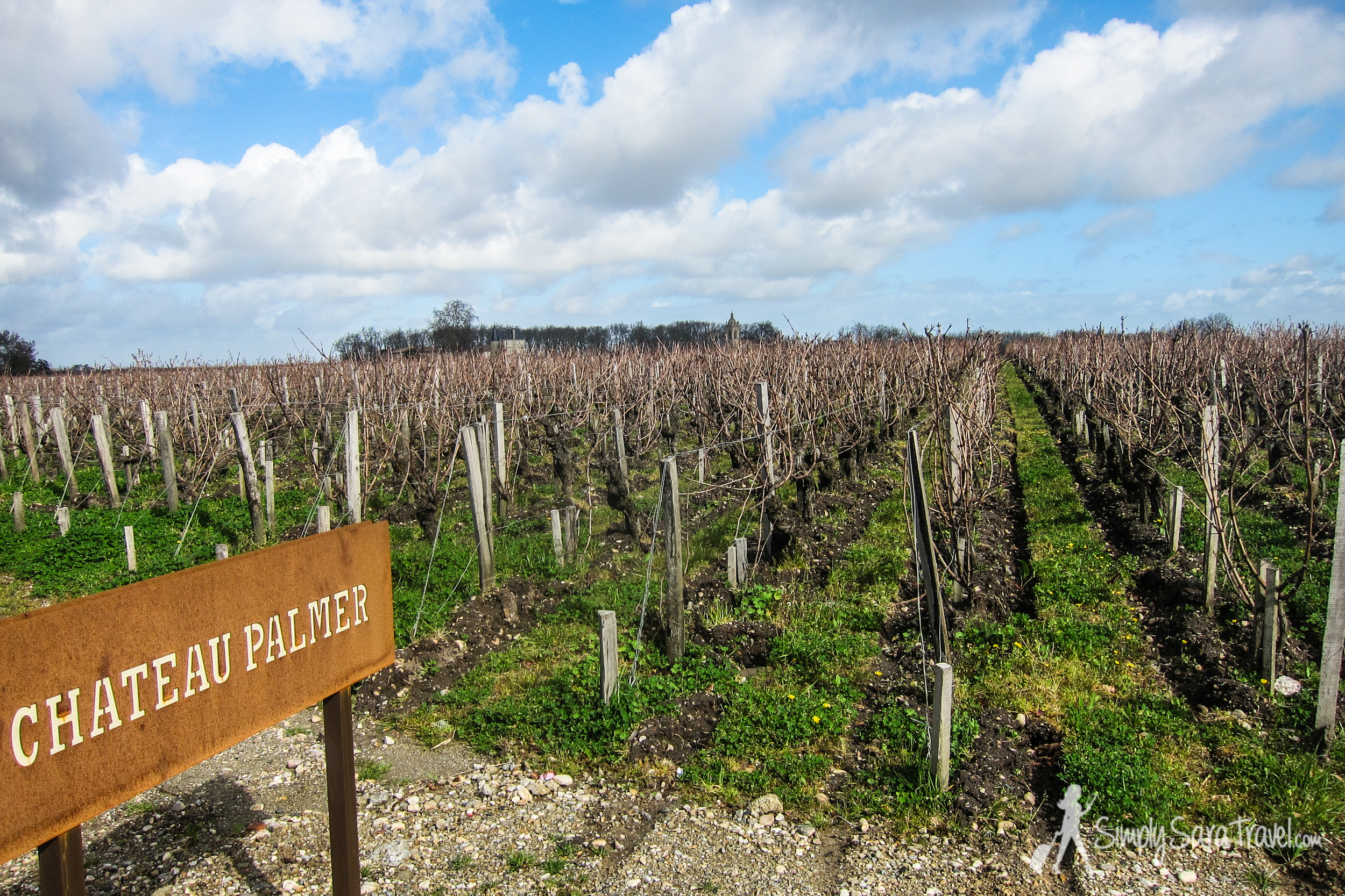 The vineyards of Château Palmer on a beautiful day in March