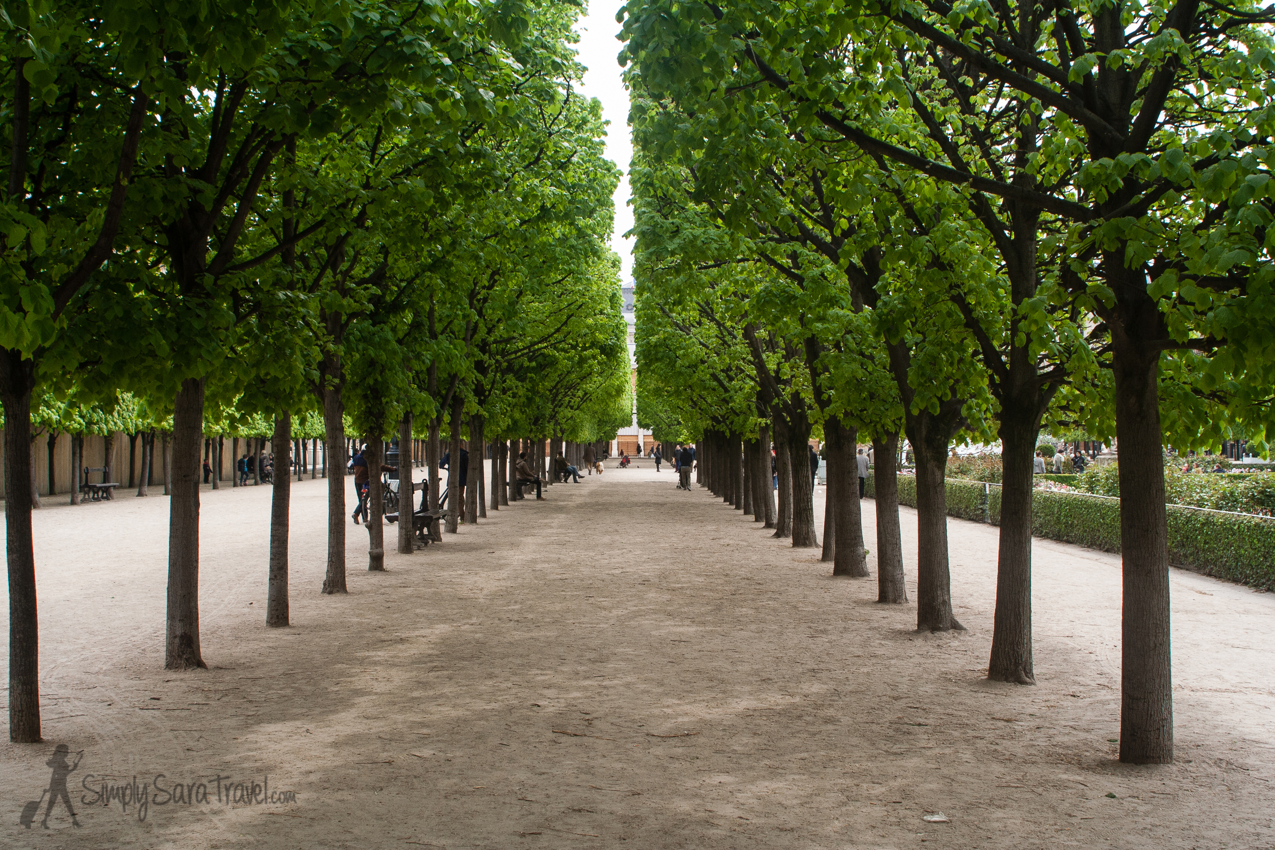 This last picture was the only one not taken this March, but last year. This shows the full effect of the tree-lined corridors of the park. 