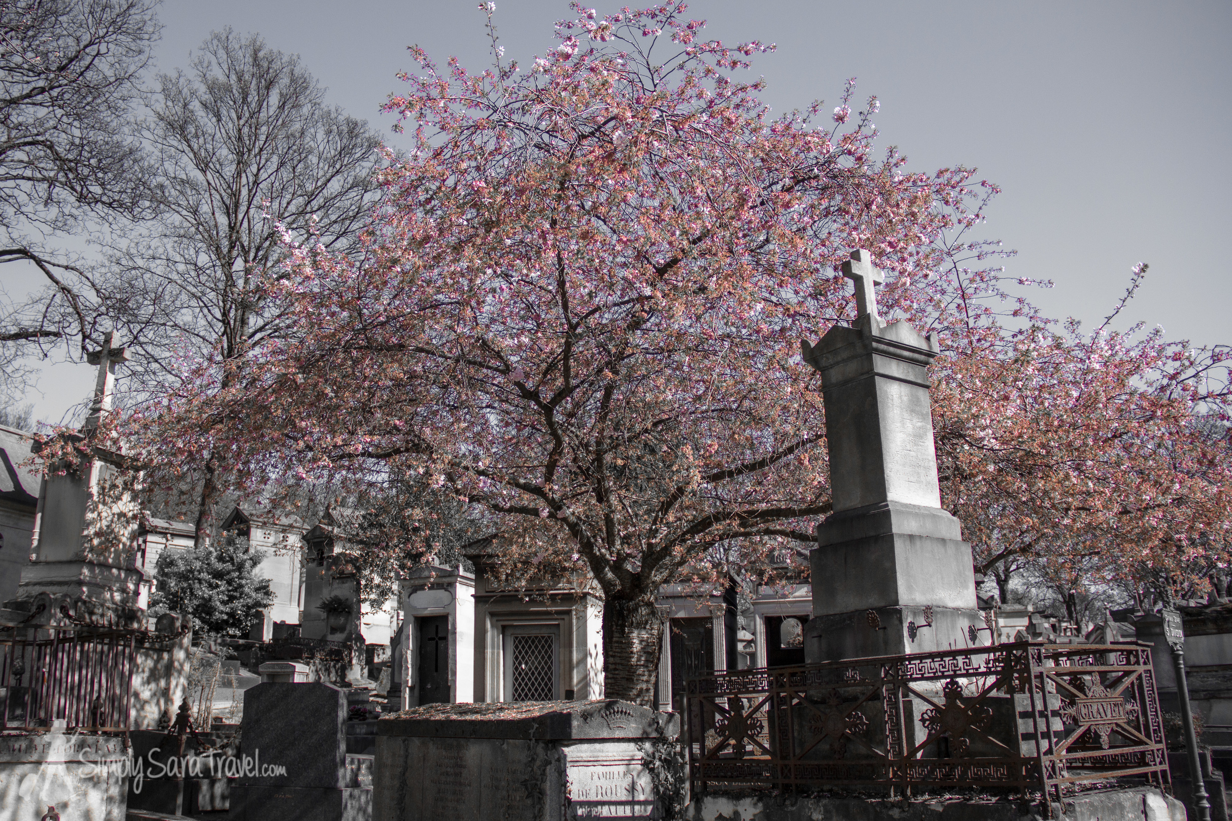 Spring at Père Lachaise