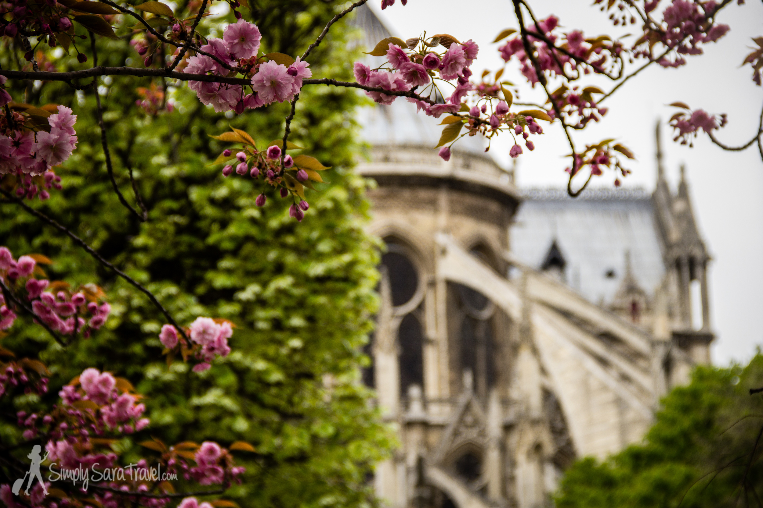 The back of Notre Dame (and the picture below as well)