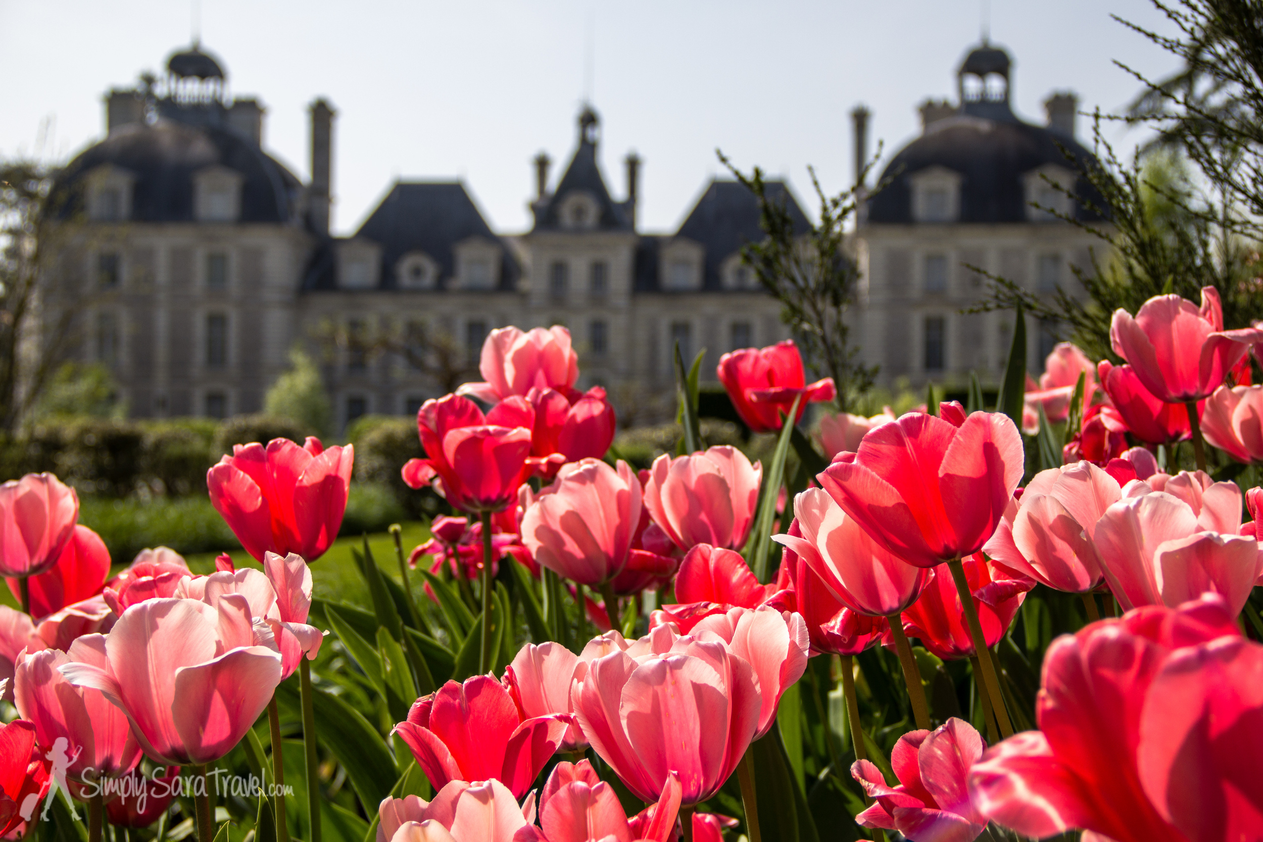 Château de Cheverny