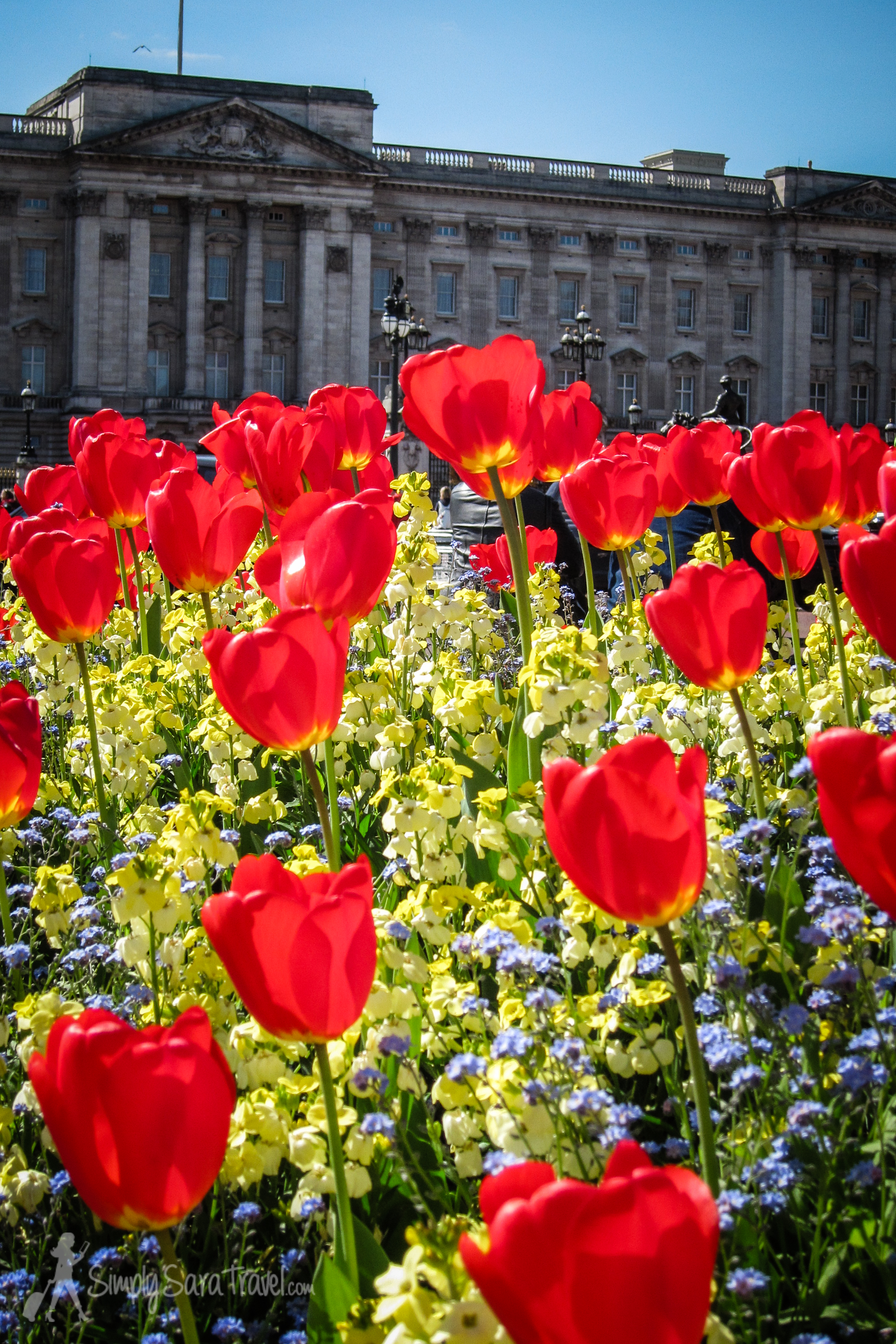 Buckingham Palace with a dose of bright flowers. Stunning.