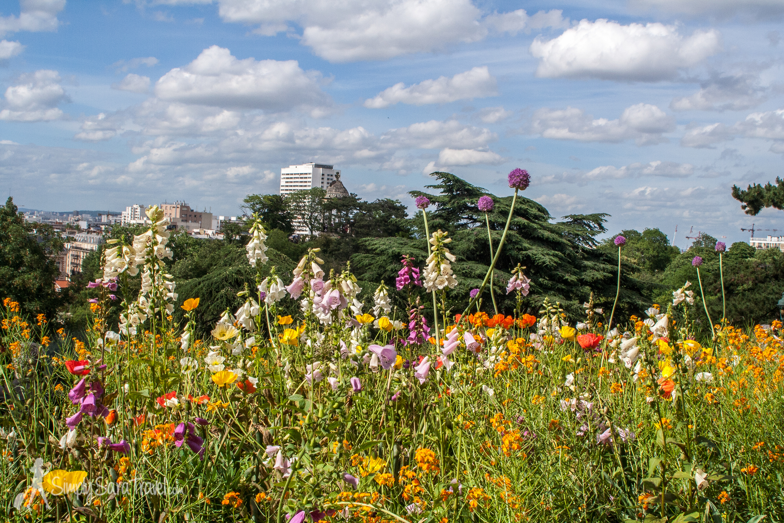 June 2013 - My brother and Carissa came to visit and the weather went from overcast to stunningly gorgeous 