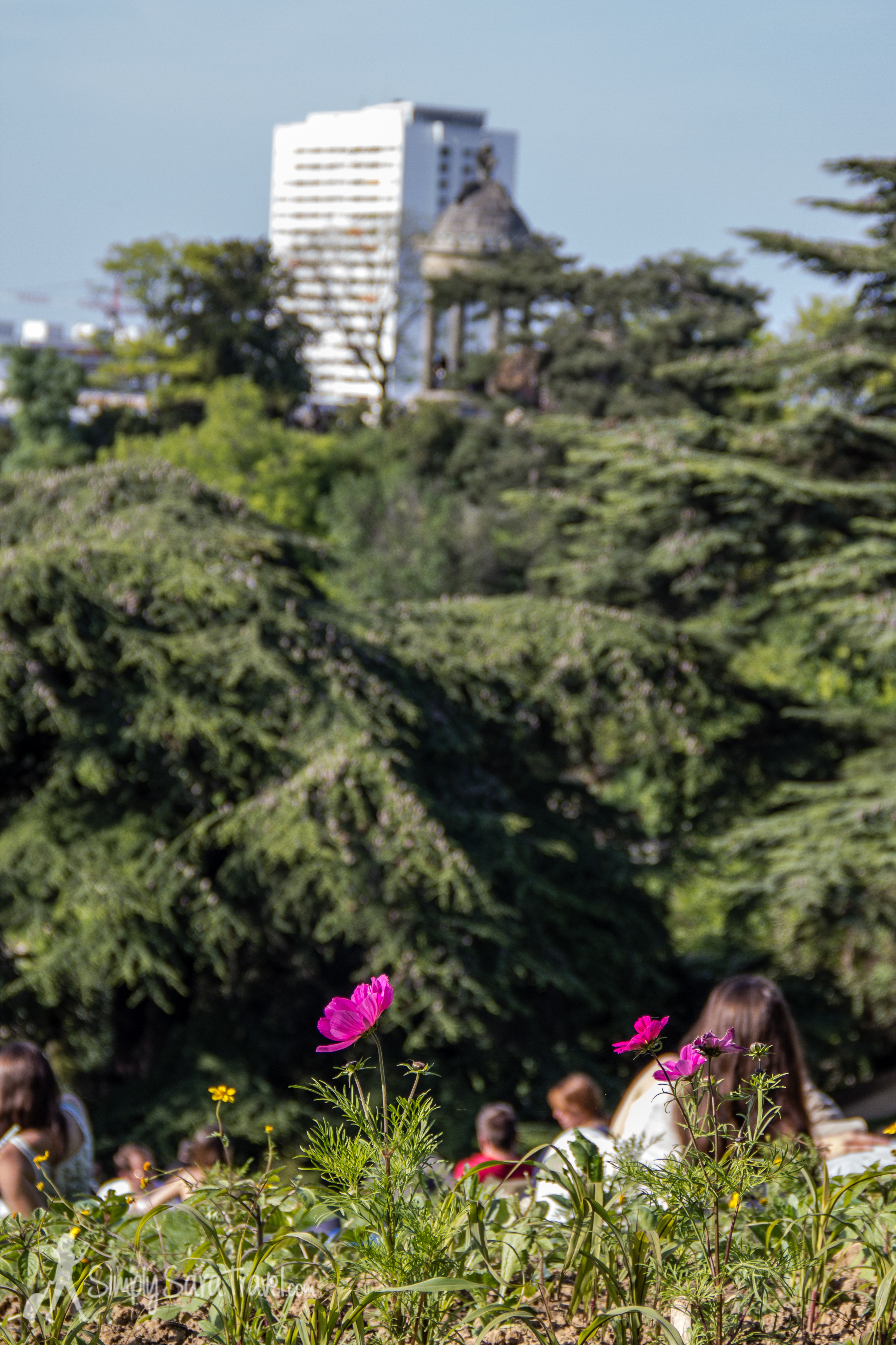 May 2014 during a relaxing four-hour or so Saturday picnic 
