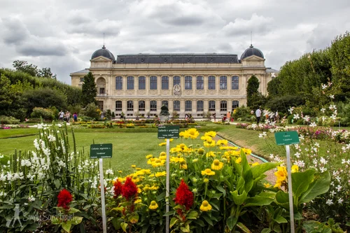 Park it in Paris: Jardin des Plantes  Simply Sara Travel