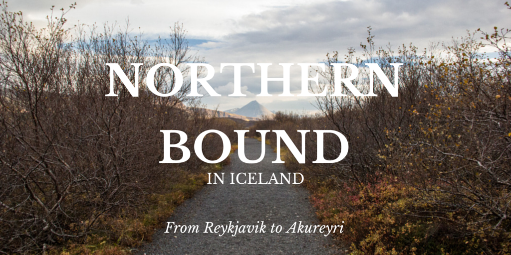 Northern Bound in Iceland: On the Way to Akureyri
