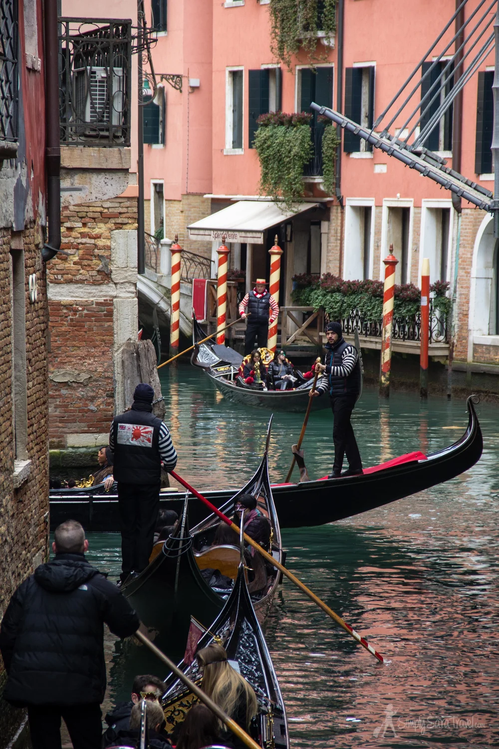 IMG_5586.jpg