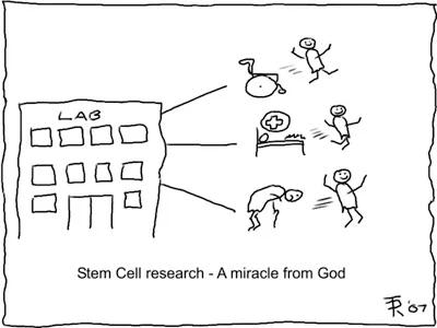 Stem+Cell+Research+-+A+miracle+from+God.jpg