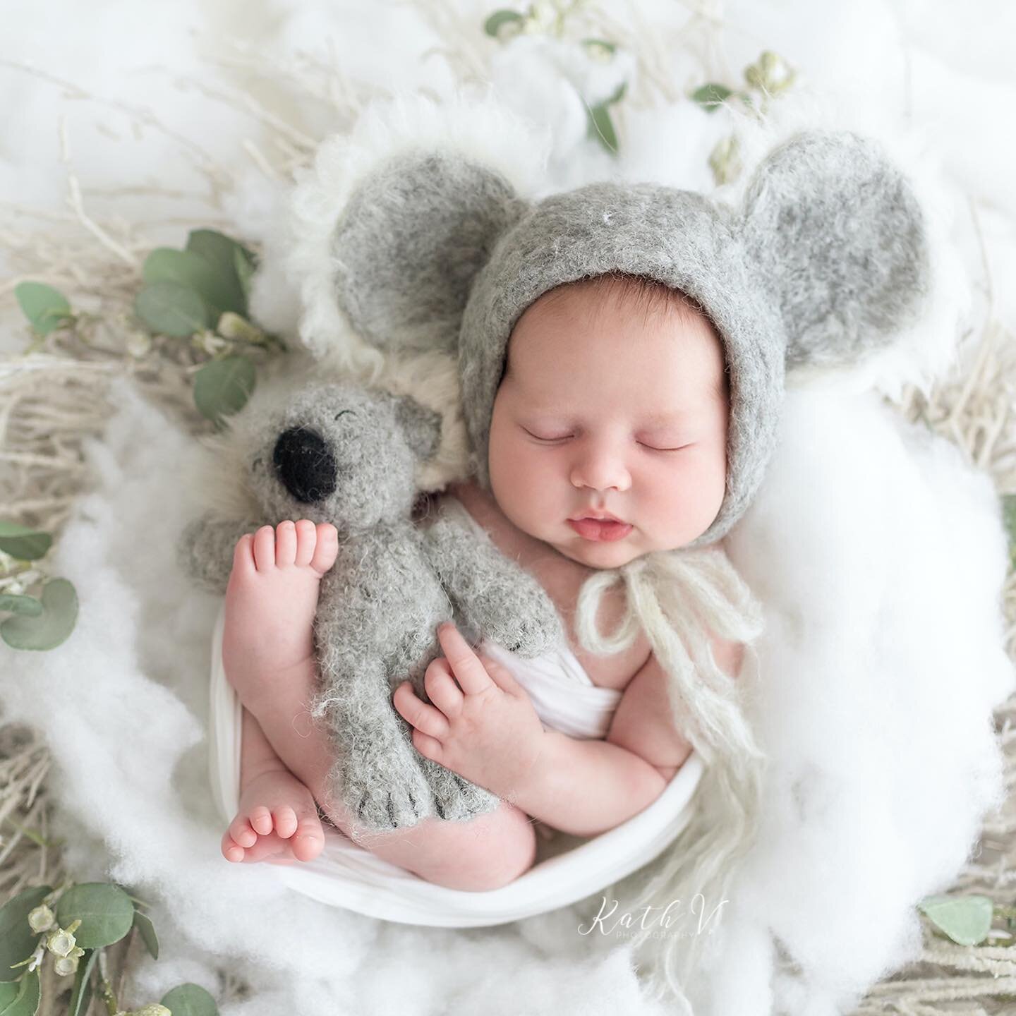 The cutest baby koala 🐨 

Alex | 4 weeks 💙

🌐 www.kathv.com.au
📧  info@kathv.com.au

#kathvphotography #newborn #newborns #newbornphotography #melbournenewbornphotographer #melbournenewbornphotography #baby #babies #babyphotography #melbournebaby