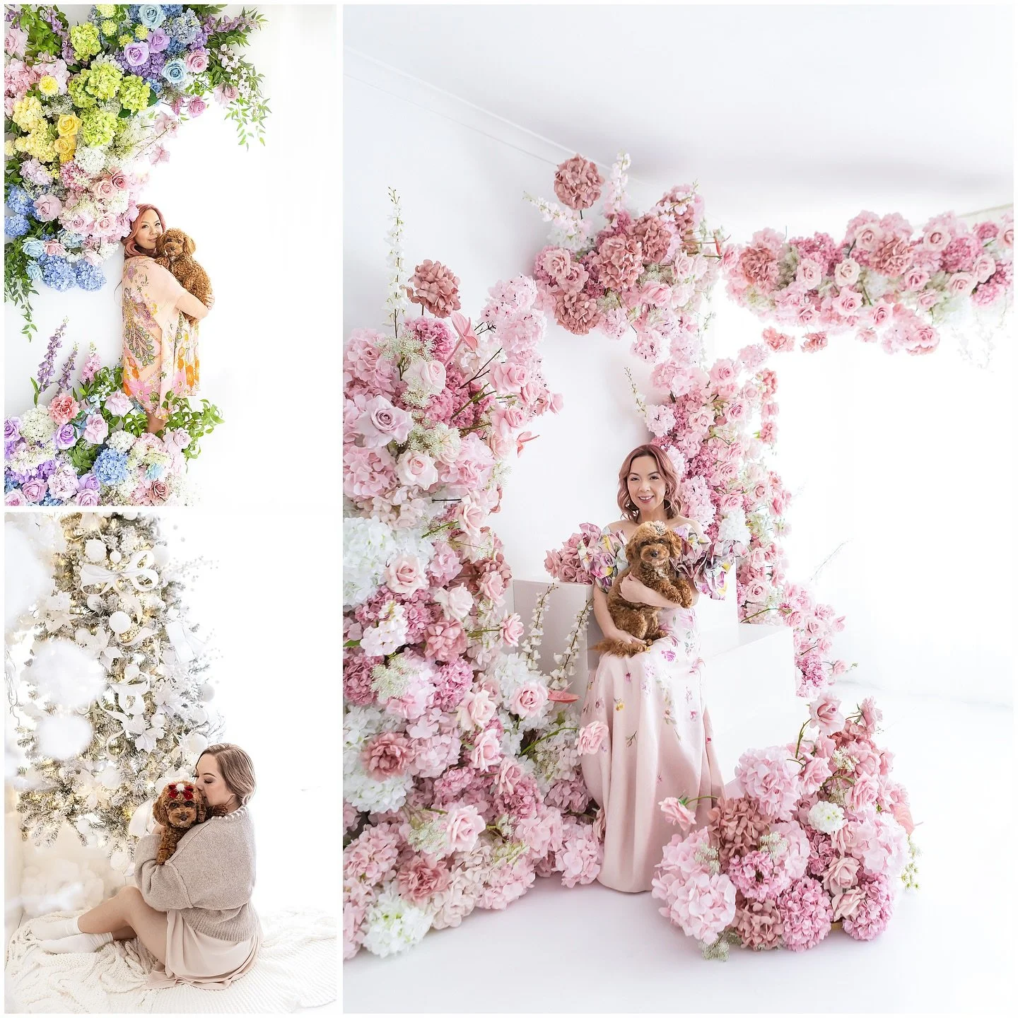 🐾✨ Exciting news!

Over the years, I&rsquo;ve poured my heart into capturing the beauty of babyhood &mdash; and somewhere along the way, I also fell in love with photographing furry companions.

So I&rsquo;ve created a new space just for them:

@paw