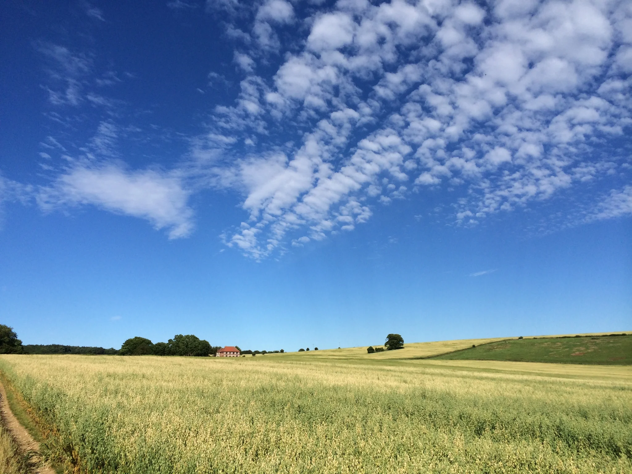 Big Sky