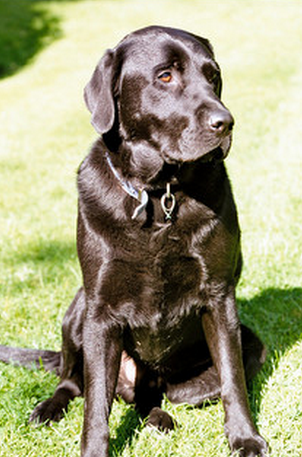 Zulu; they'll never make another like him