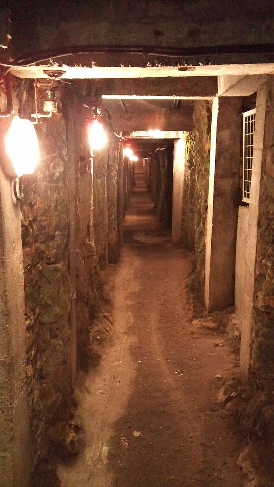 Preserved tunnel at Vimy Ridge