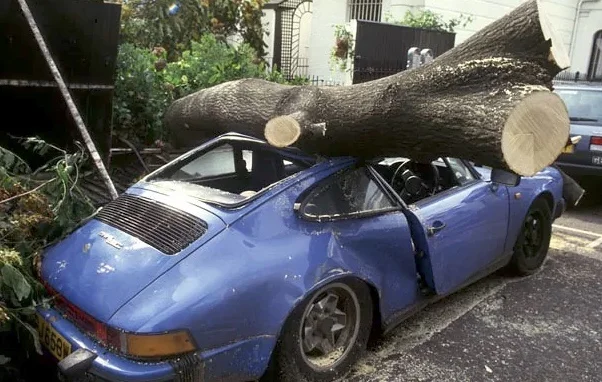 Storm2.jpg