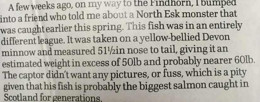 Salmon3.jpg