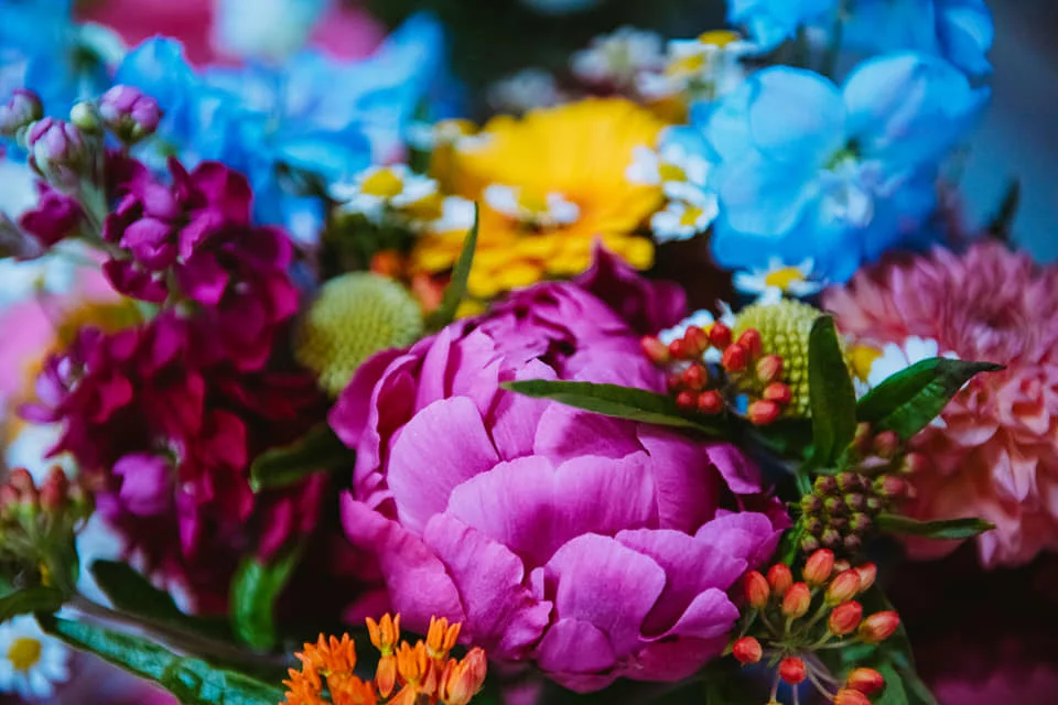 A Year of Flowers