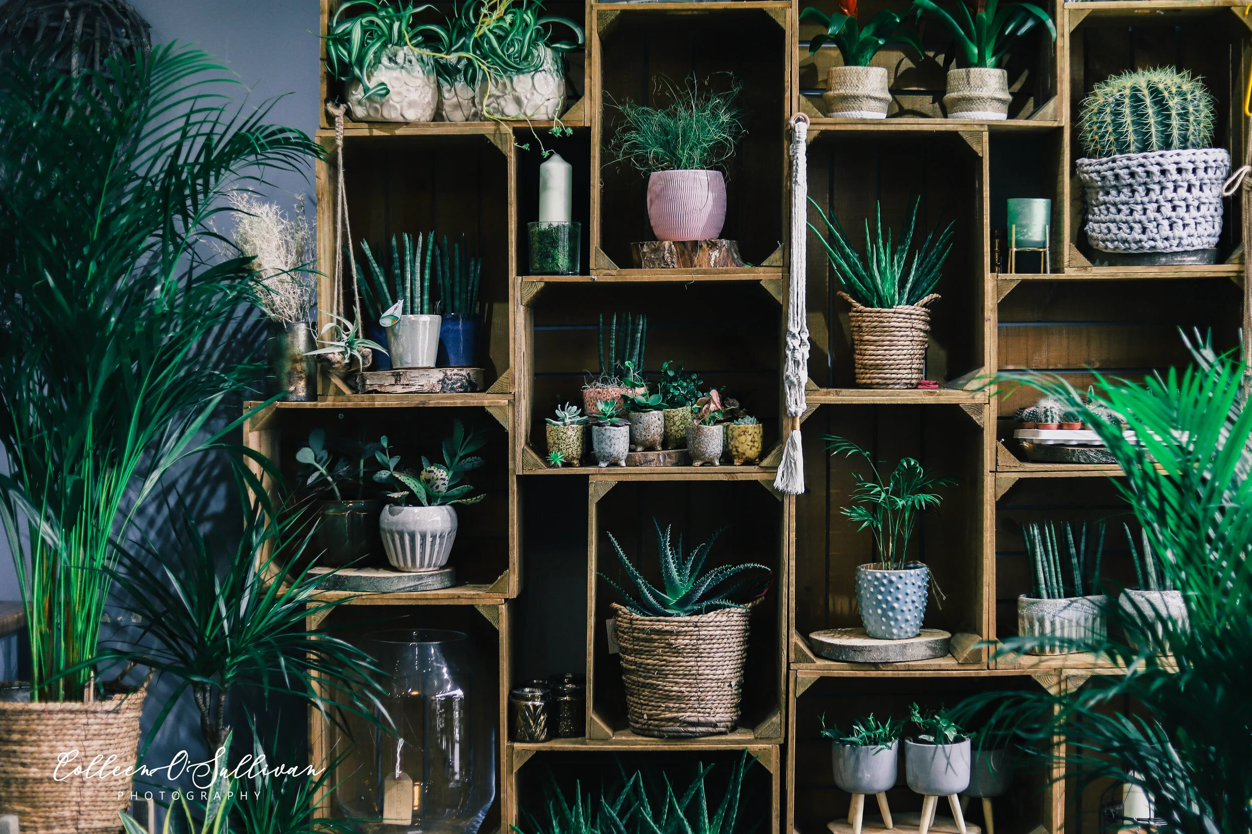 Ivy Florist Leeds Pudsey, Leeds Florist