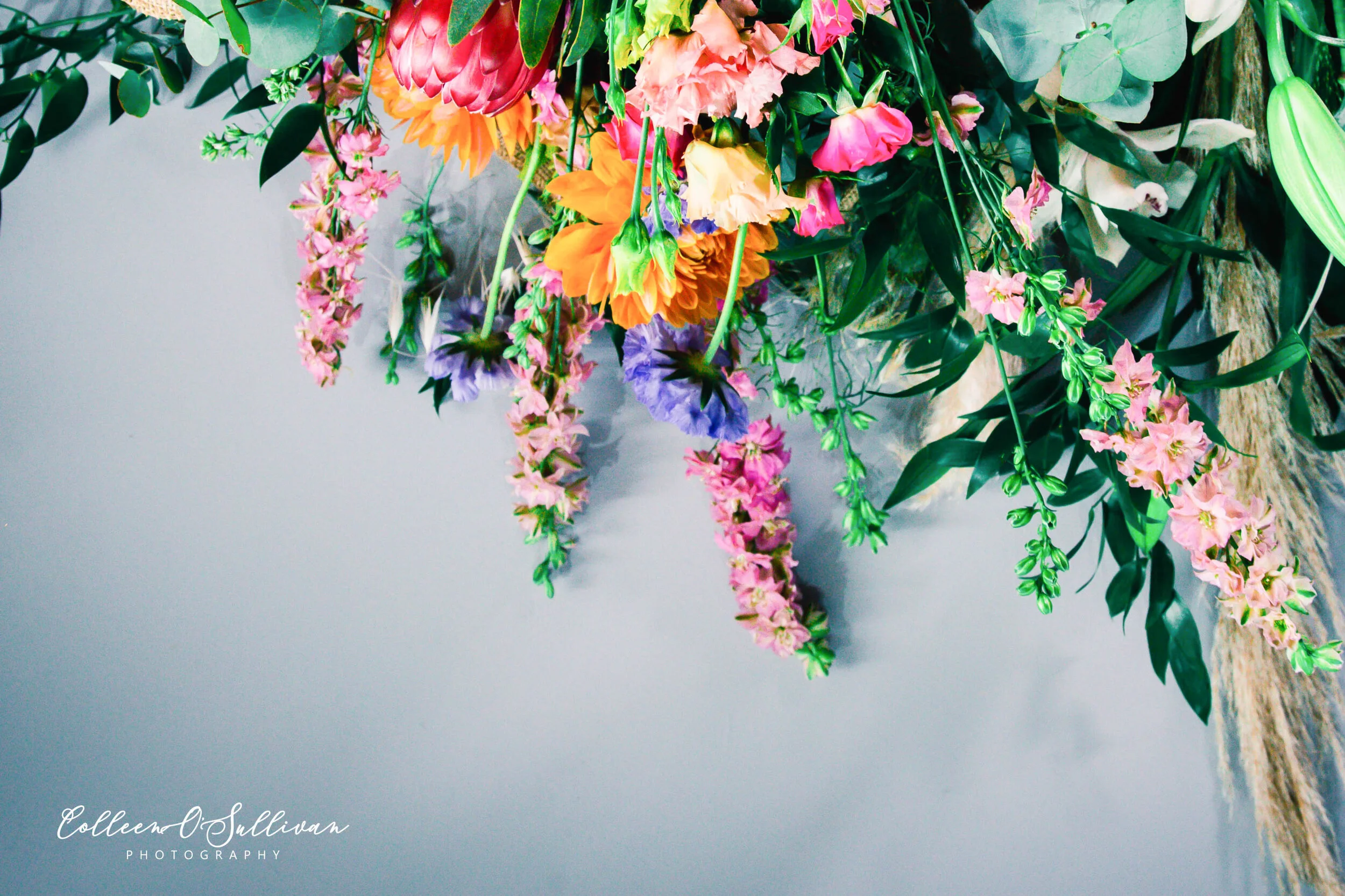 Ivy Florist Leeds Pudsey, Leeds Florist