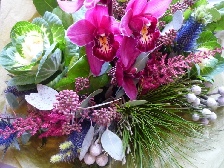 Winter+Orchid+(2) (1).jpeg