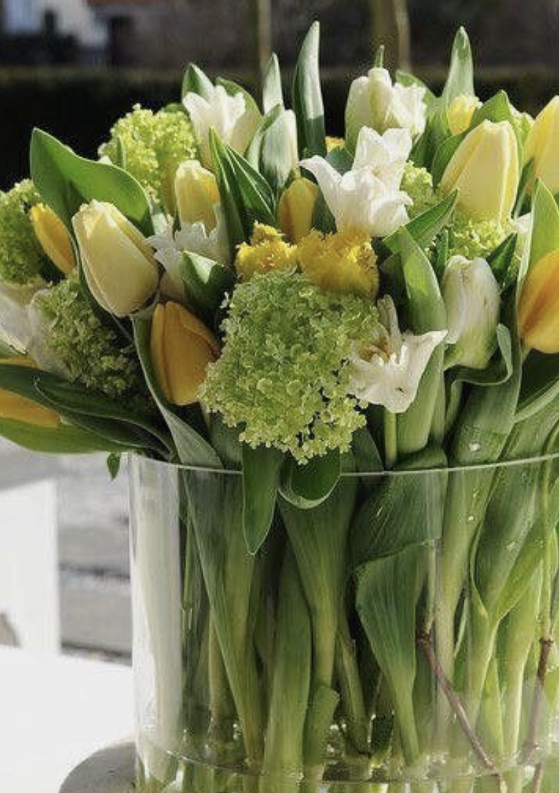 Vase of Tulips