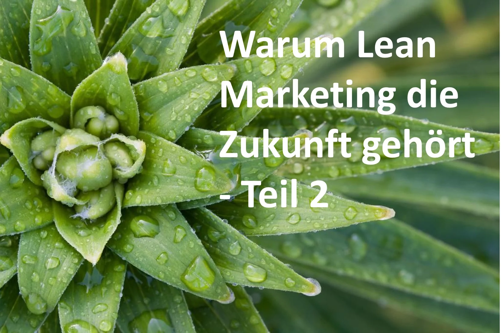 Warum Lean Marketing die Zukunft gehört - Teil 2