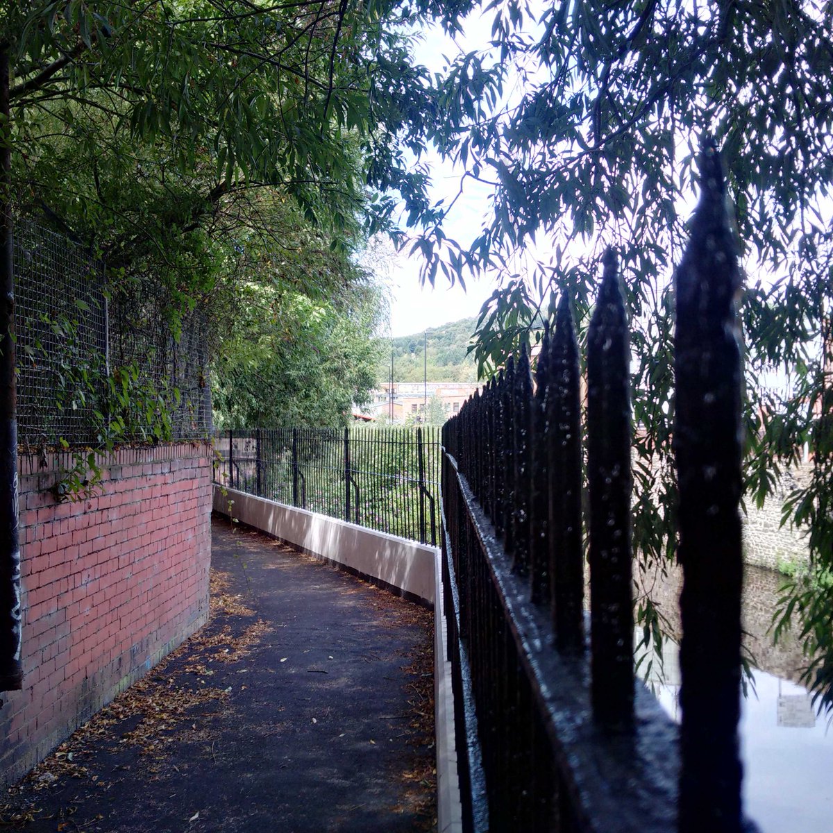 Waterloo Walk - Secretly peaking down on the River Don