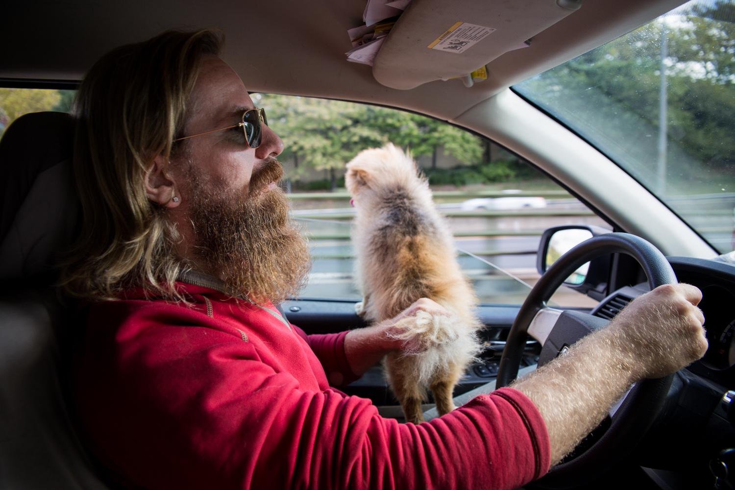  I think it's worth pointing out here that he's holding the dog's tail to make sure it doesn't jump out the window. The dog never made an effort to jump out the window. &nbsp;He's doing it just in case. &nbsp;That's called professionalism. 