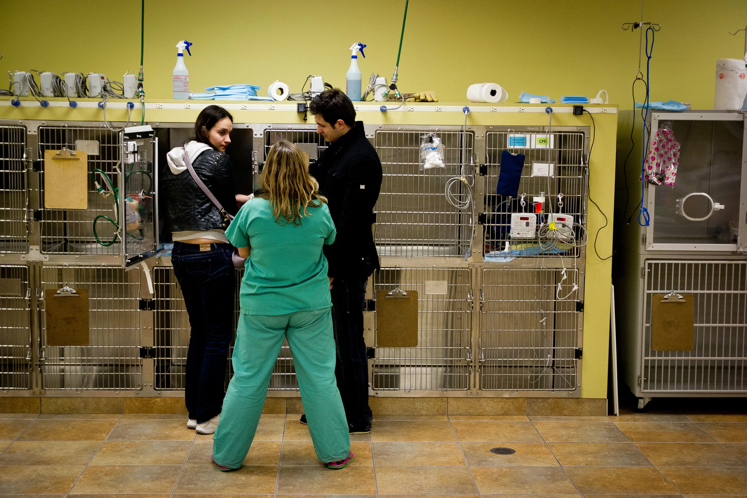 Stoneham_24 hour vet-10.jpg