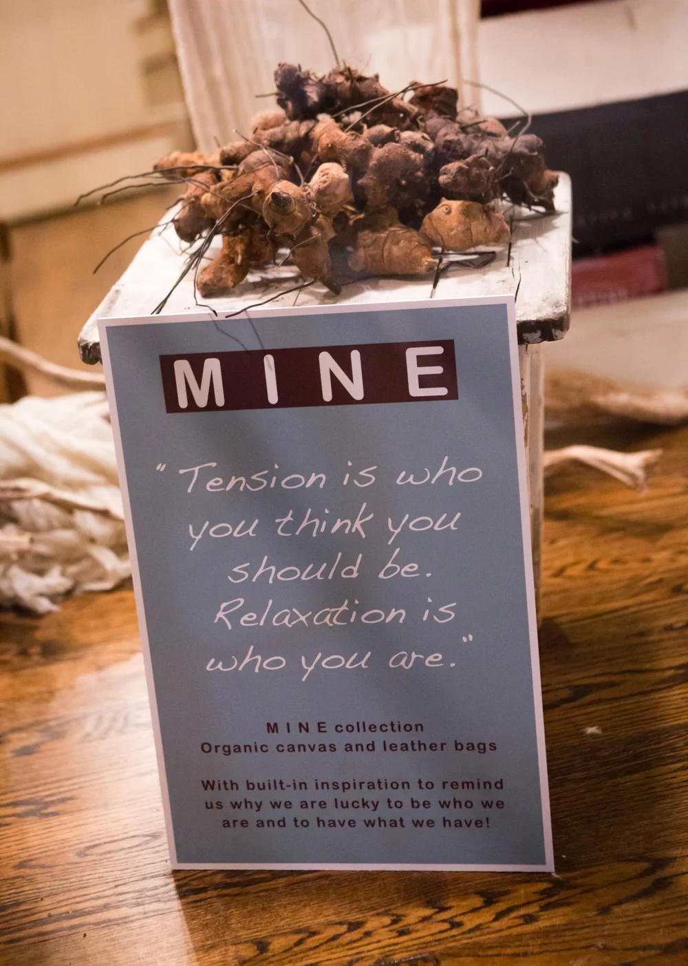 seeking indigo photo 4.JPG