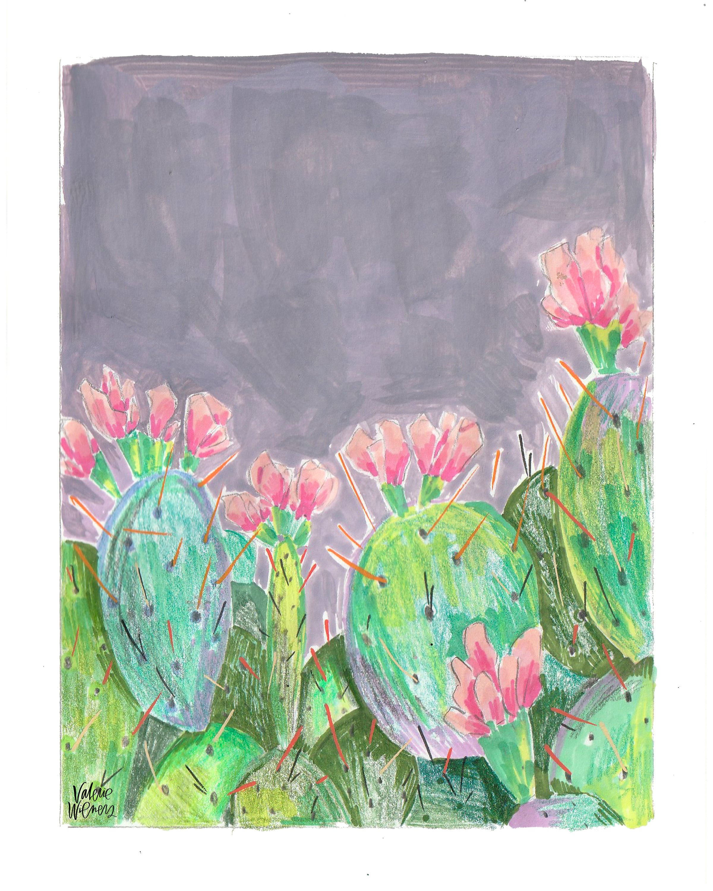 Floral Cactus 1