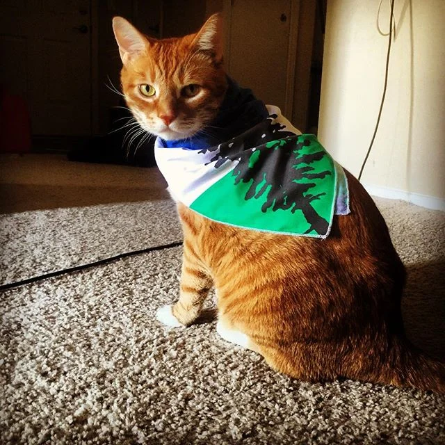 Cascadian Cat