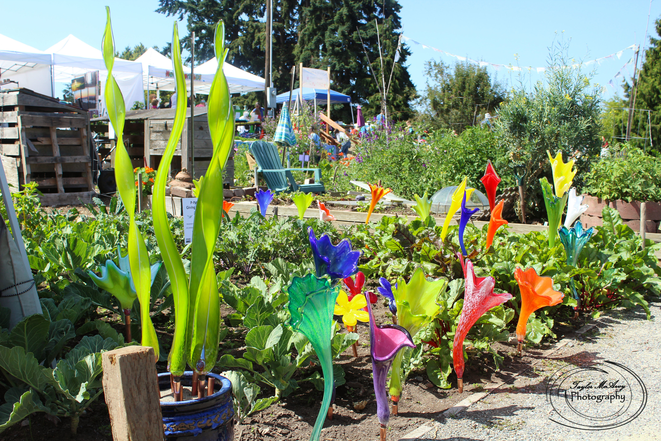  Glass art by Dayne Lopez has been at the Art in the Garden event for three years.&nbsp; 