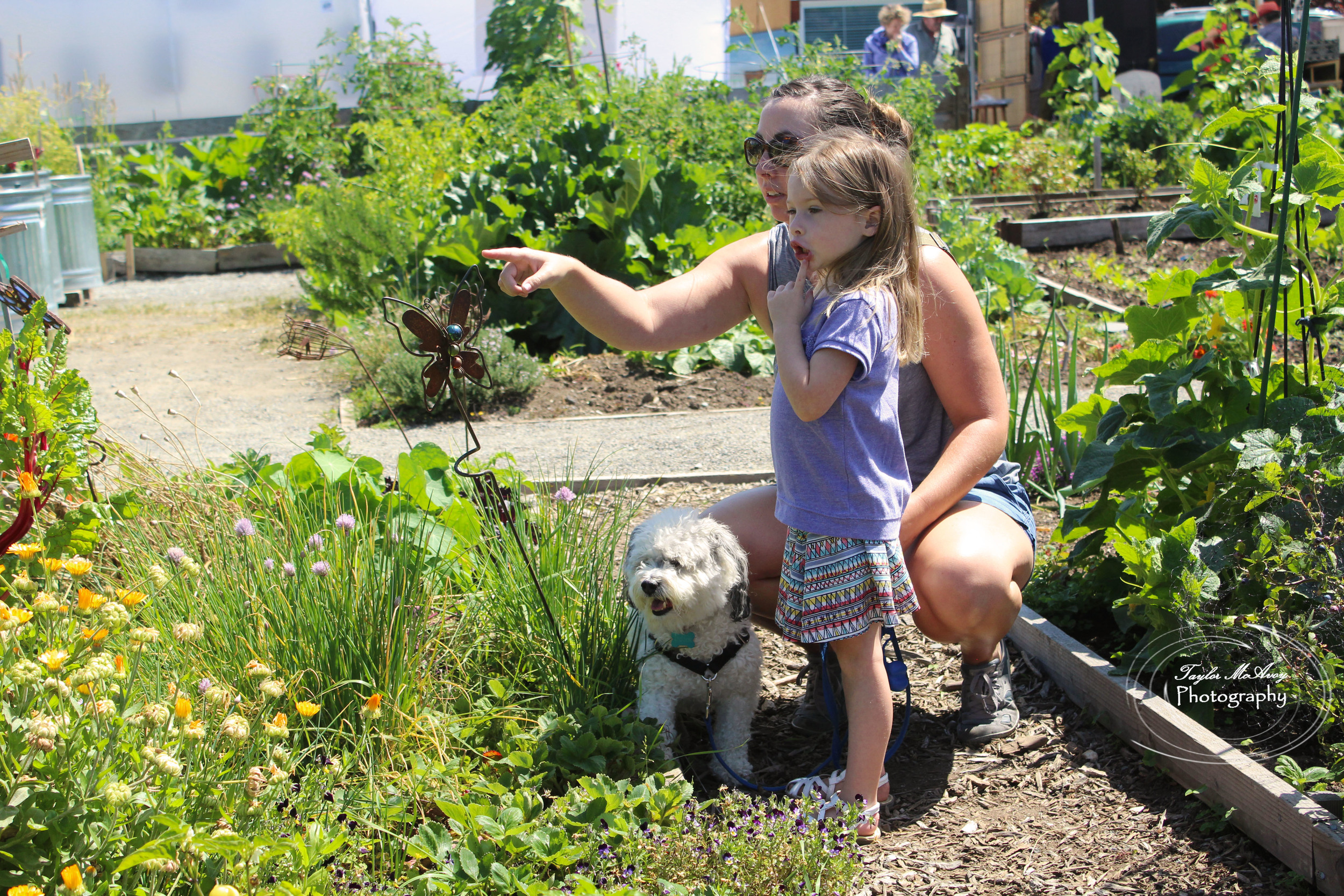  Faith Low, daughter, and their dog Darcy discover new flowers and plants. 