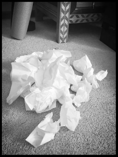 tissues.jpg