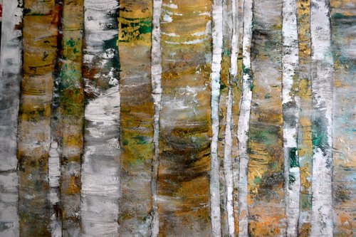 birch1.jpg
