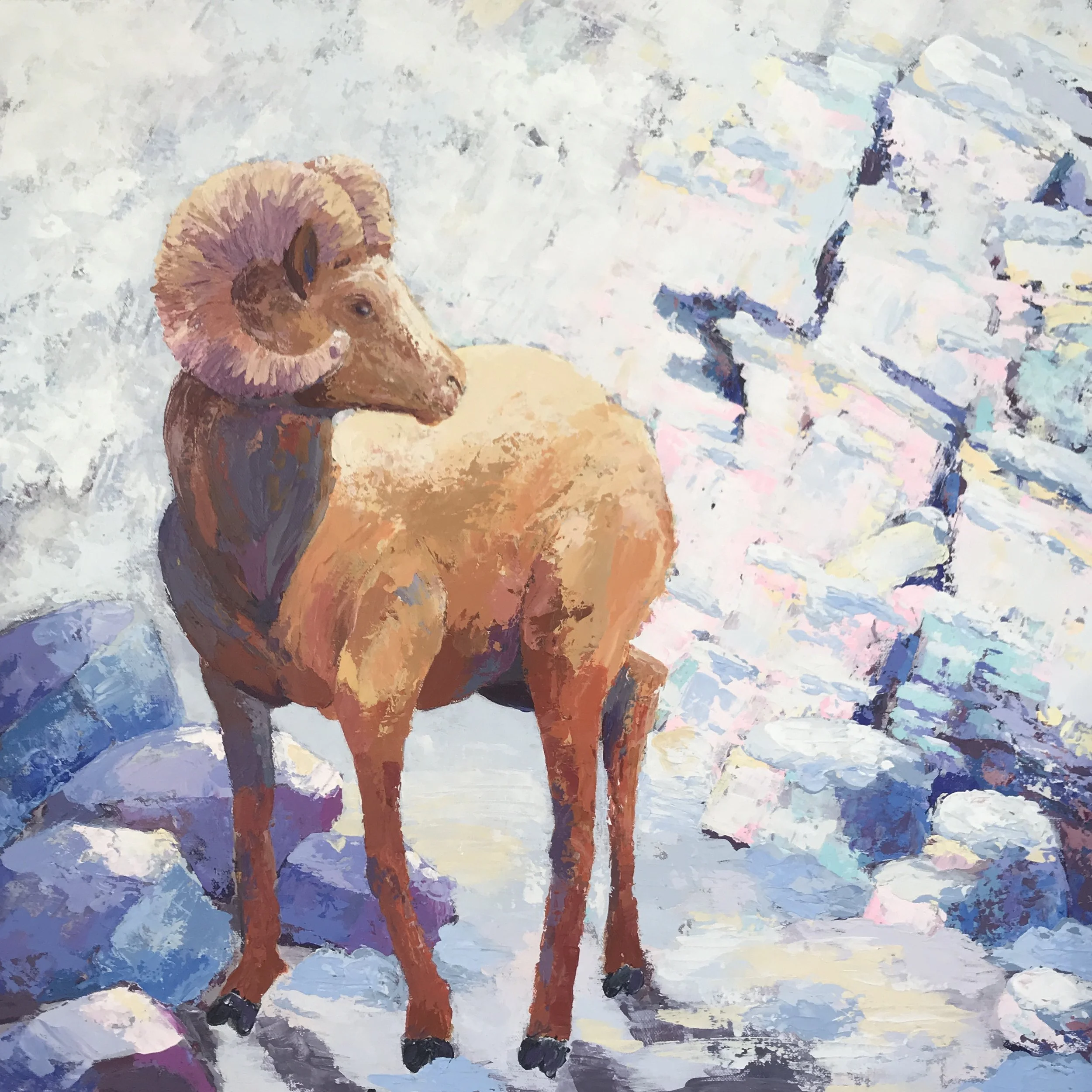 DWenarchuk - Winter Ram 24x24 Acrylic on Canvas.jpeg